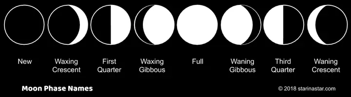 The Moon Phases names in the correct order showing the progression from new moon, through waxing moons, to full moon, then back down through waning moons, to new moon again in a cycle