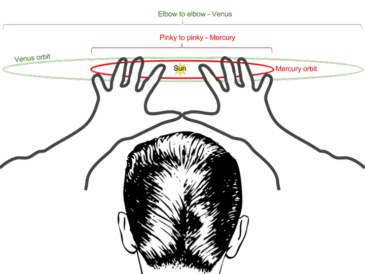 Use your hands and elbows to see Mercury and Venus orbits any time of day or night. The orbits of Mercury and Venus can be seen.