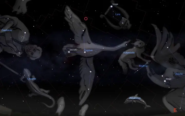 A screenshot of Stellarium showing the new star location under the constellation Cygnus's left wing