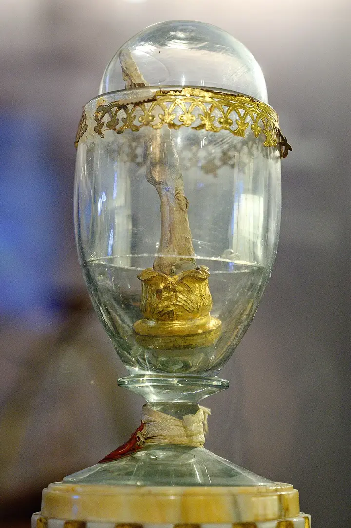 Galileo's middle finger on display at Museo Galileo, Florence